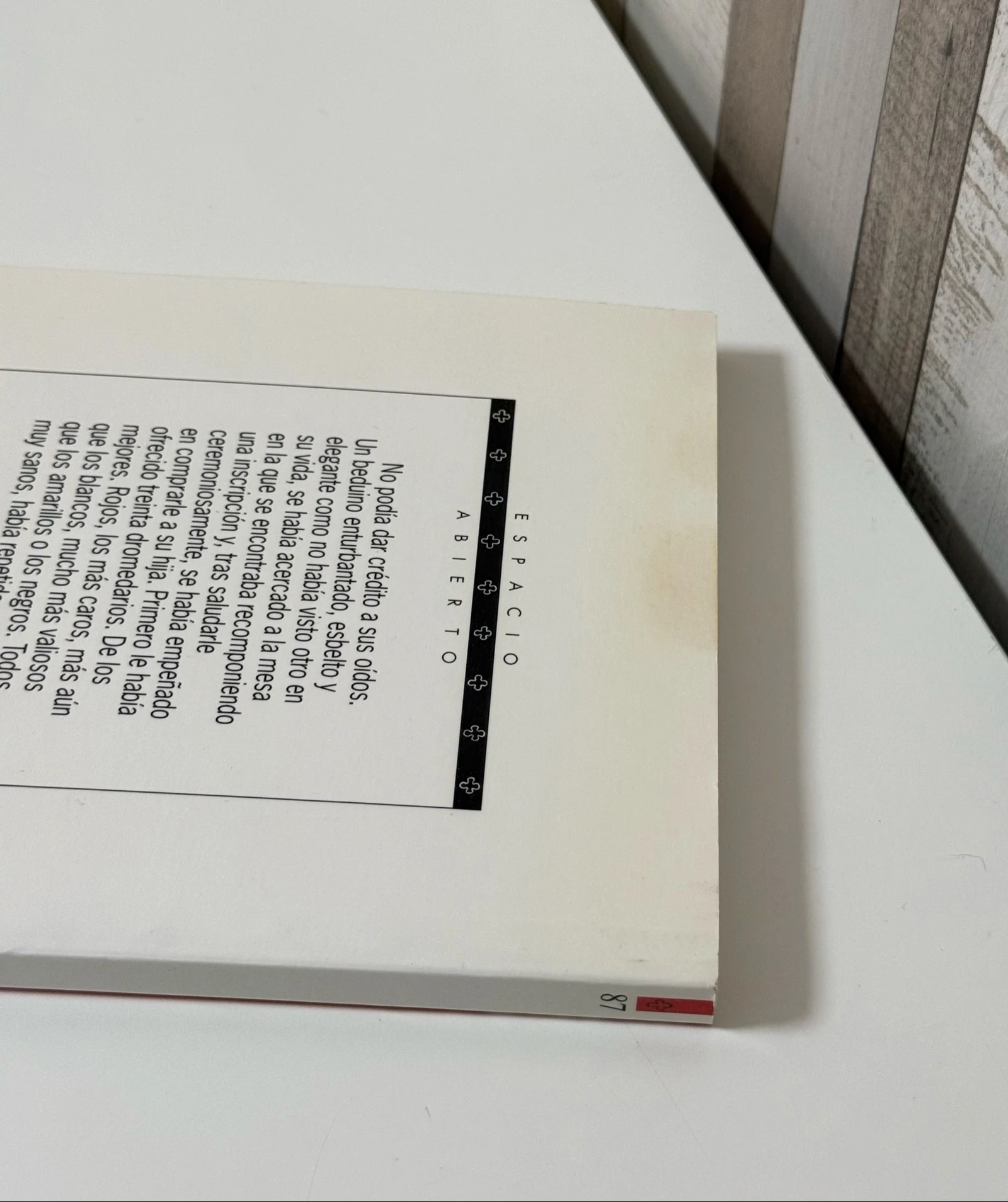 Libro Ammor en Ammán – photo 7